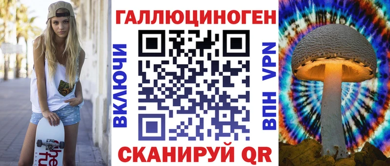 Псилоцибиновые грибы Psilocybe  Пересвет 